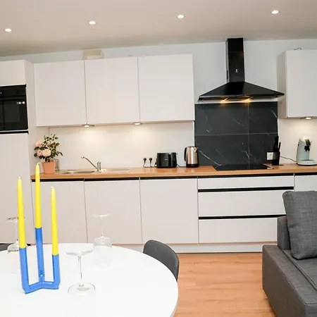 Friendly 1br & 1lr Apt, 15 Min Walk To Center Apartment *